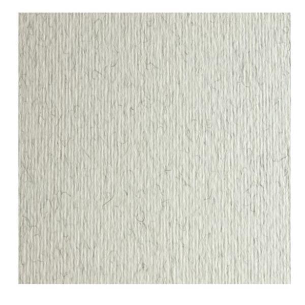 CARTONCINO BIANCO FABRIANO 70X100CM 220GR 100 ELLE ERRE 10 FOGLI 46470100