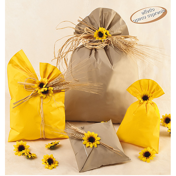 100 Buste Regalo in Ppl Mat a Everyday Classic 20x35cm 5 Colori Assortiti Us805prr 20x35 8013170540223