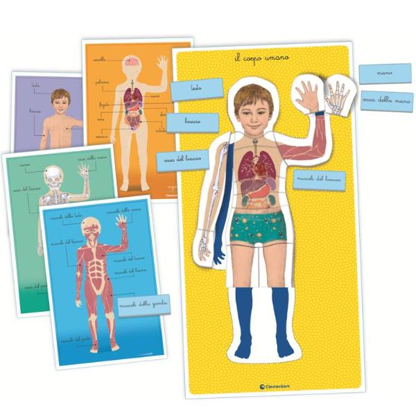 Montessori Il Corpo Umano Clementoni 16373a 8005125163731