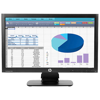 Hp Prodisplay P202