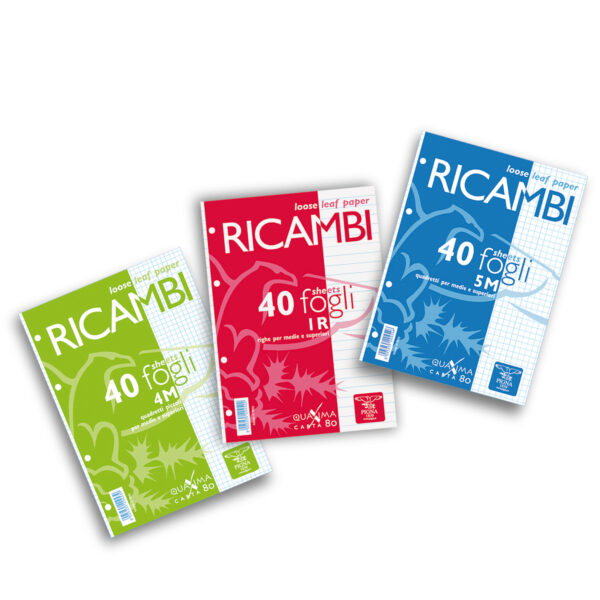 Ricambi Forati A5 1rigo 80gr Quaxima 40fg 80gr Pigna 00629041r 8005235204522