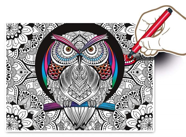 Therapy Colour Owl Clementoni 35050 8005125350506