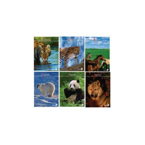 Maxiquaderno A4 80gr 80fg 1 1rigo Animal Bm Confezione da 10 Pezzi