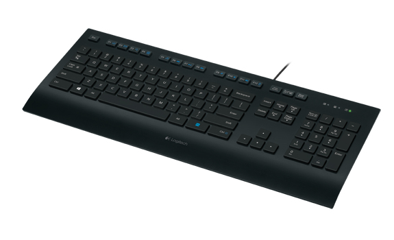 Keyboard K280e For Business Logitech Input Devices 920 005214 5099206046825