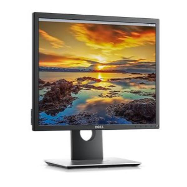 Dell 19 Monitor P1917s Dell Technologies Dell P1917se