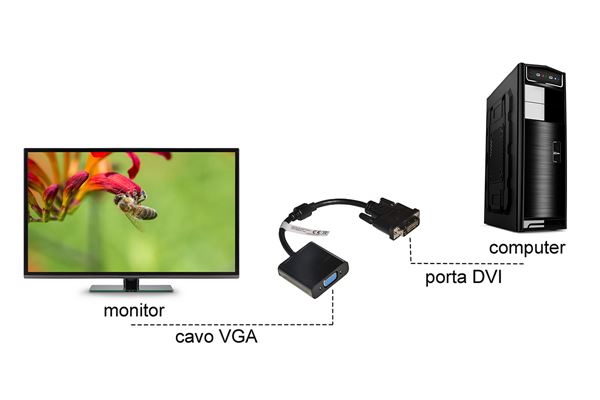 Adattatore Video Dvi D 24 1 Vga M F Nilox Lkadat121 8028400069863