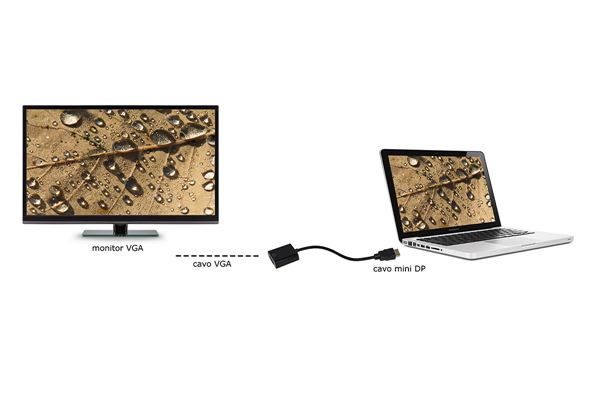 Adattatore Displayport Vga M F Nilox Lkadat19 8028400039392