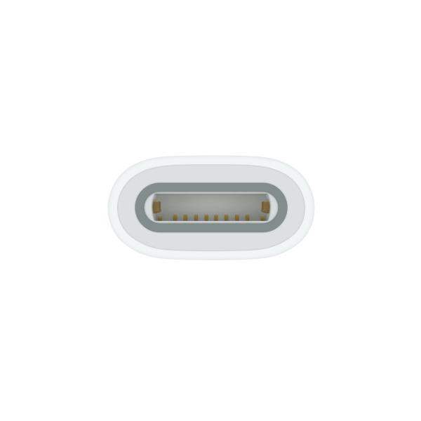 Usb C To Apple Pencil Adapter Apple Mqlu3zm a 194253665199