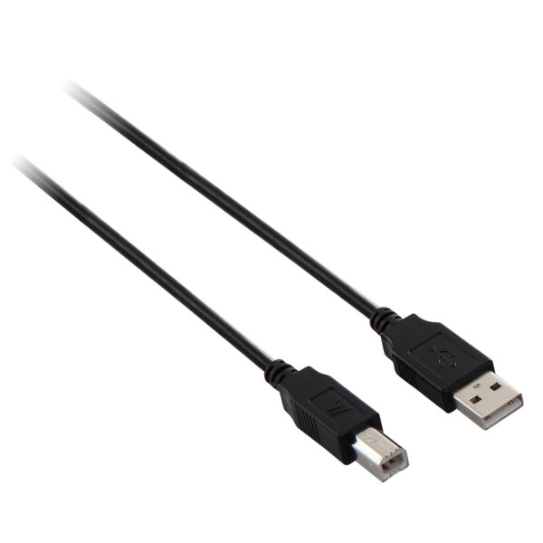 Cavo Usb 2 0 da Usb a a B M M V7 Cables V7e2usb2ab 03m 4038533020437