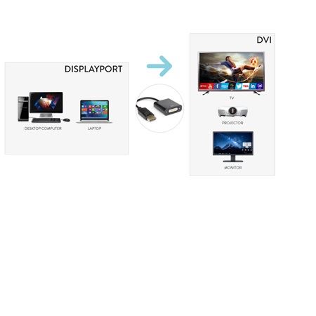 Cavo Displayport a Dvi F 24 5 1080p Hamlet Xvadp Dv 8000130592200