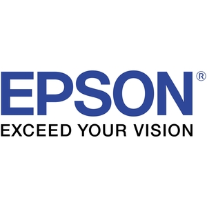 EPSON DP-502-111 EDG