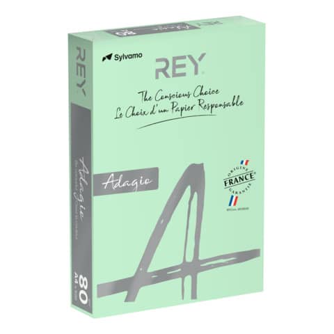 Carta colorata A4 International Paper Rey Adagio 80 g/m² verde - Risma da 500 fogli - ADAGI080X651