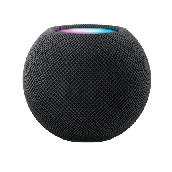 HOMEPOD MINI SPACE GRAY