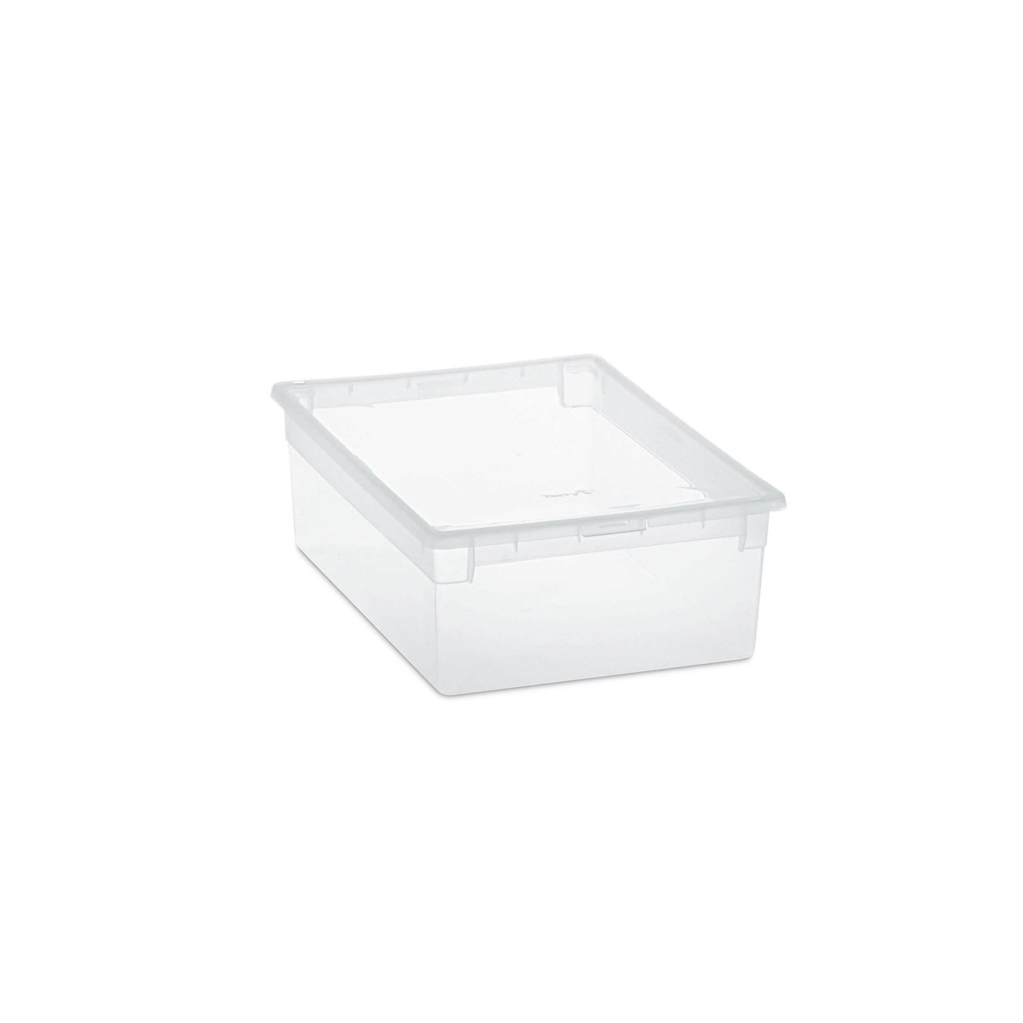 Contenitore multiuso Light Box M - 27,8x39,6x13,2 cm - 12 L - plastica - trasparente - Terry