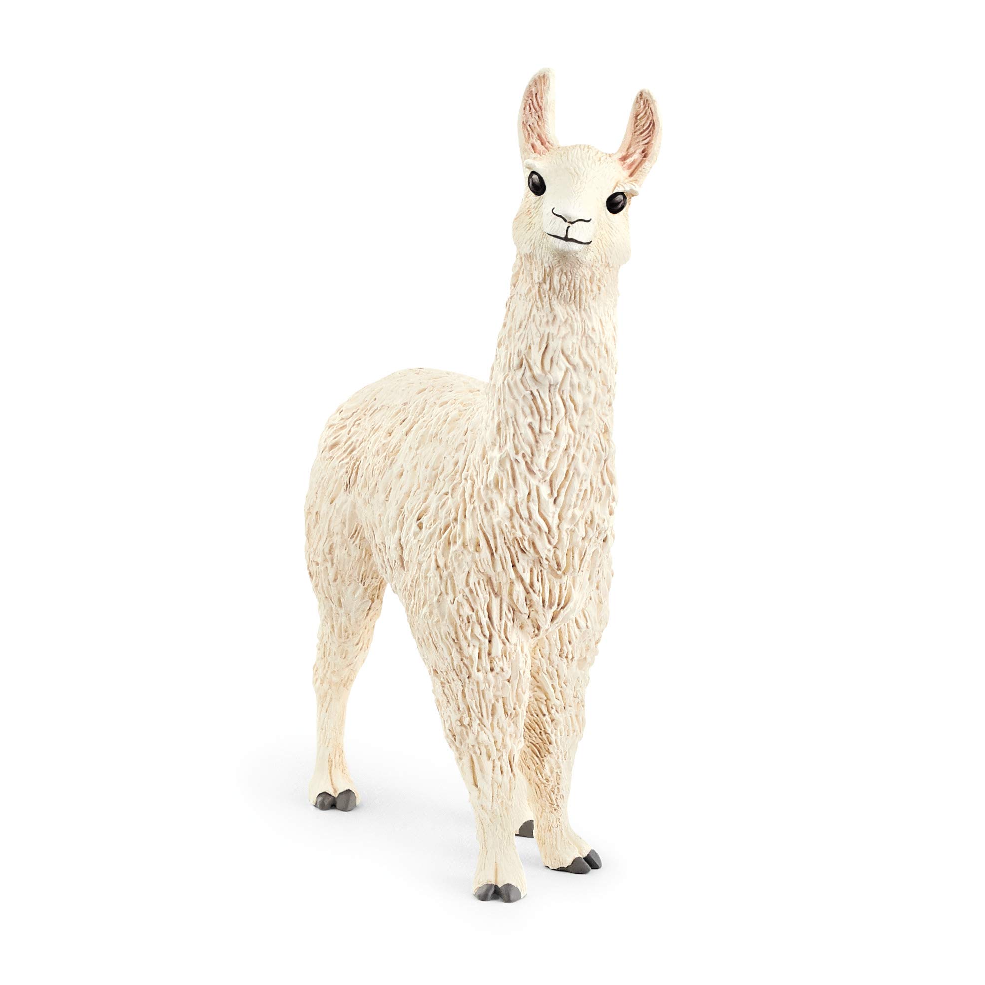 LAMA (5)