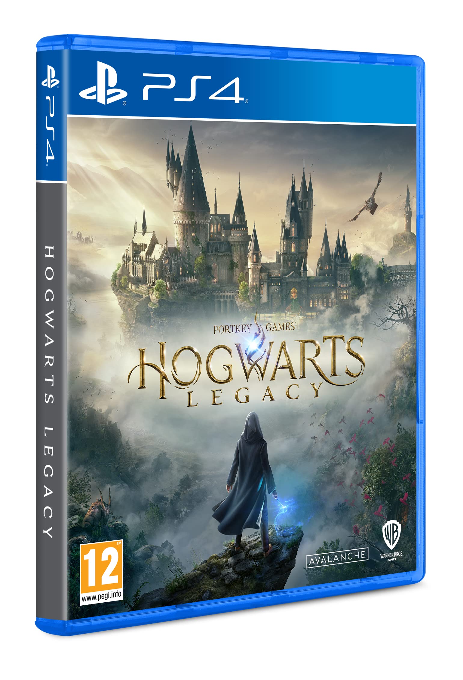 PS4 HOGWARTS LEGACY