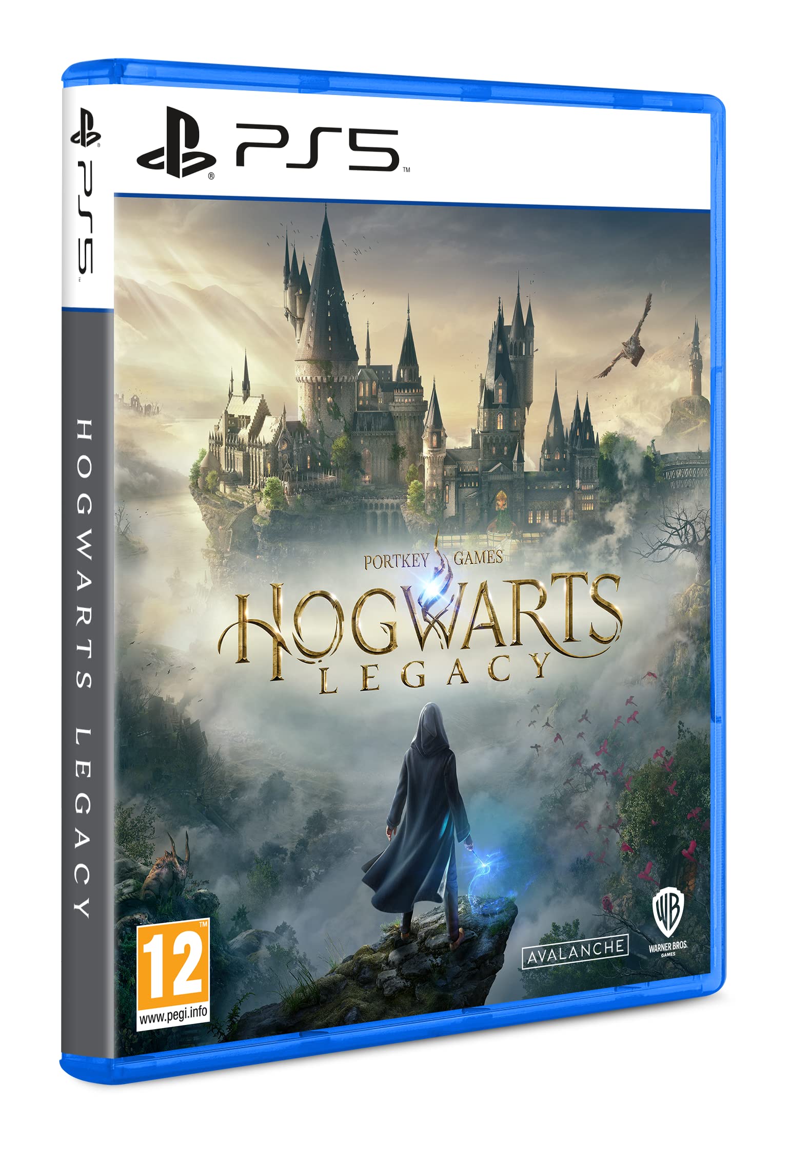 PS5 HOGWARTS LEGACY