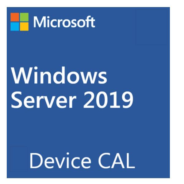 MS WS19 5DEV CAL EMEA LTU