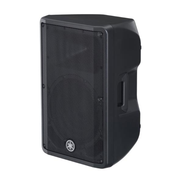 CASSA AMPLIFICATA 1X12 1000W