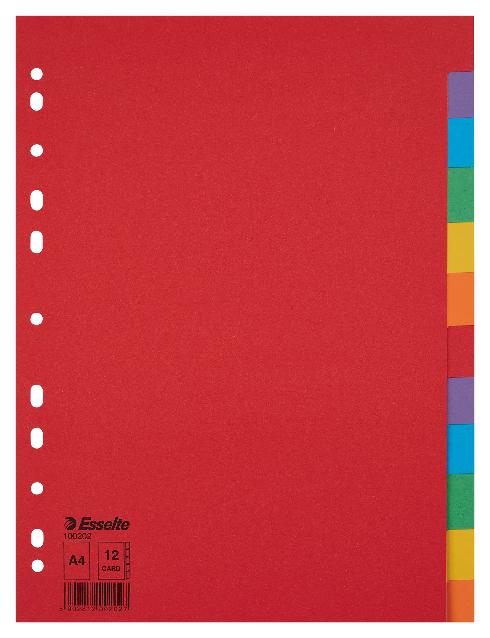 Separatore Economy - 12 tasti - cartoncino colorato 160 gr - A4 - multicolore - Esselte