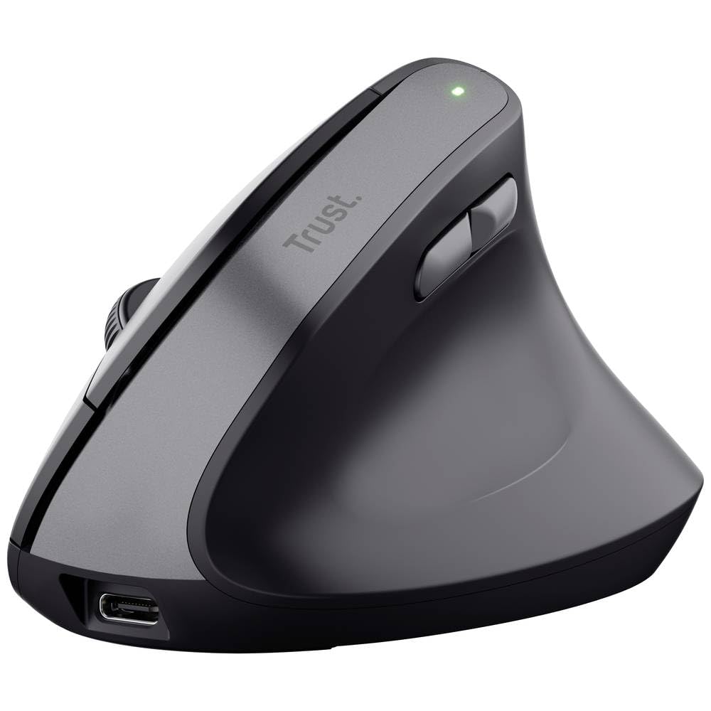 TM-270 ERGONOMIC WIRELESS MOUSE