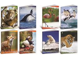 CF10 QUADERNO ANIMALI 100G A4 4F