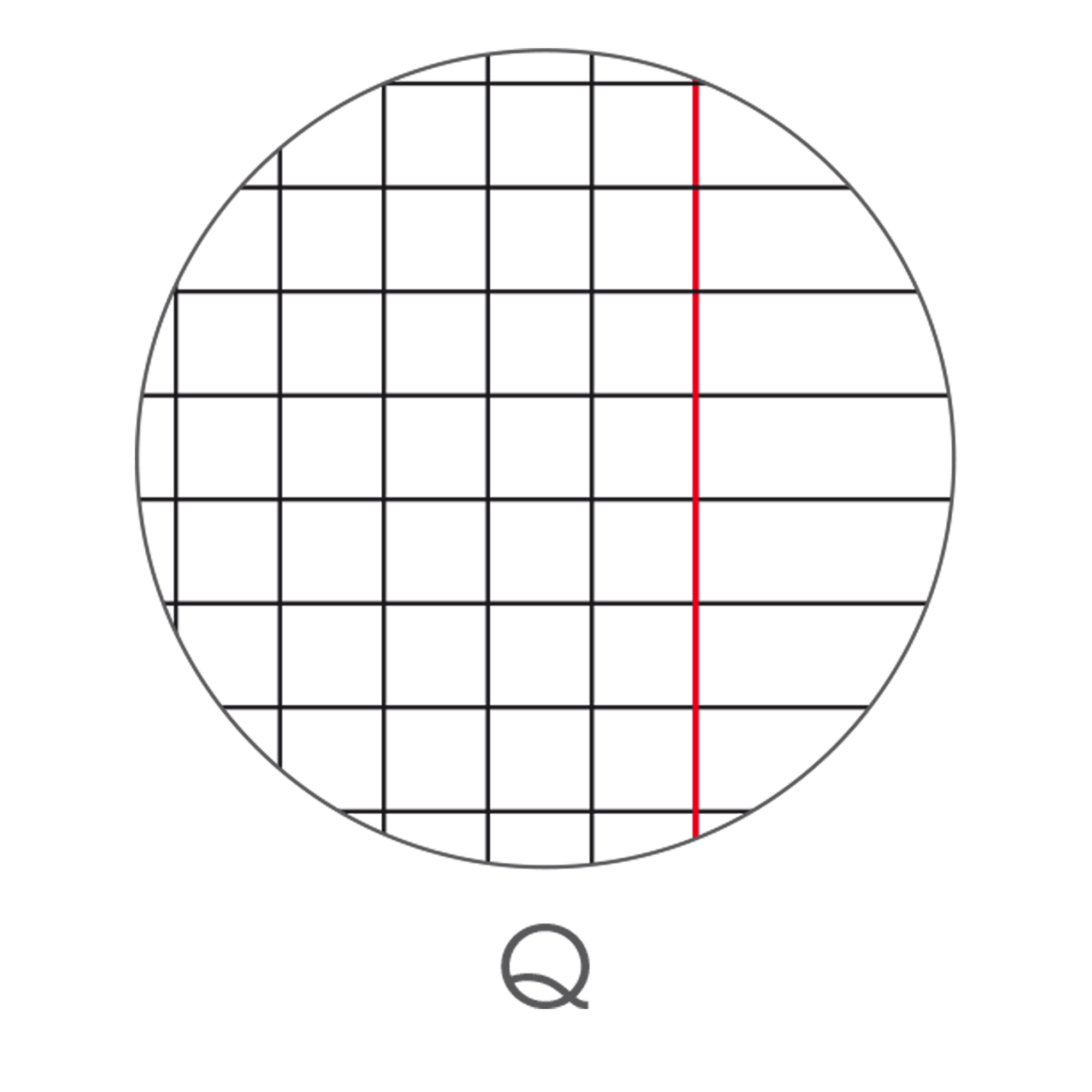 Maxiquaderno Be More Urban 2024 - A4 - 5 mm - c/margine - 36+2 fogli - 100 gr - BM