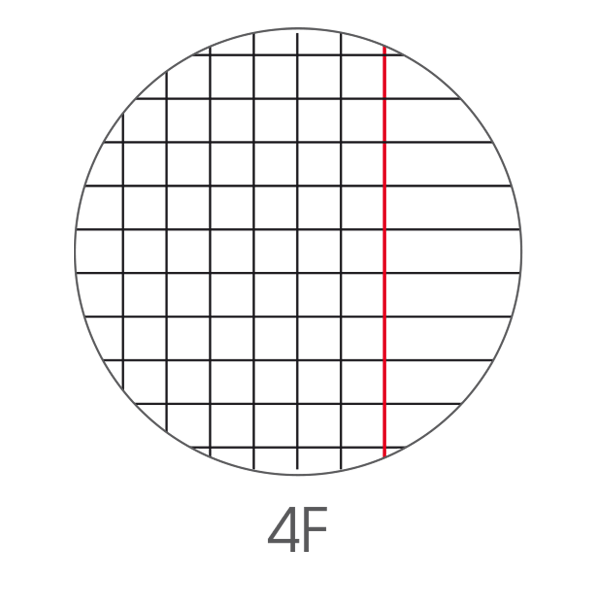 Maxiquaderno Be More Urban 2024 - A4 - 4 mm - c/margine - 36+2 fogli - 100 gr - BM