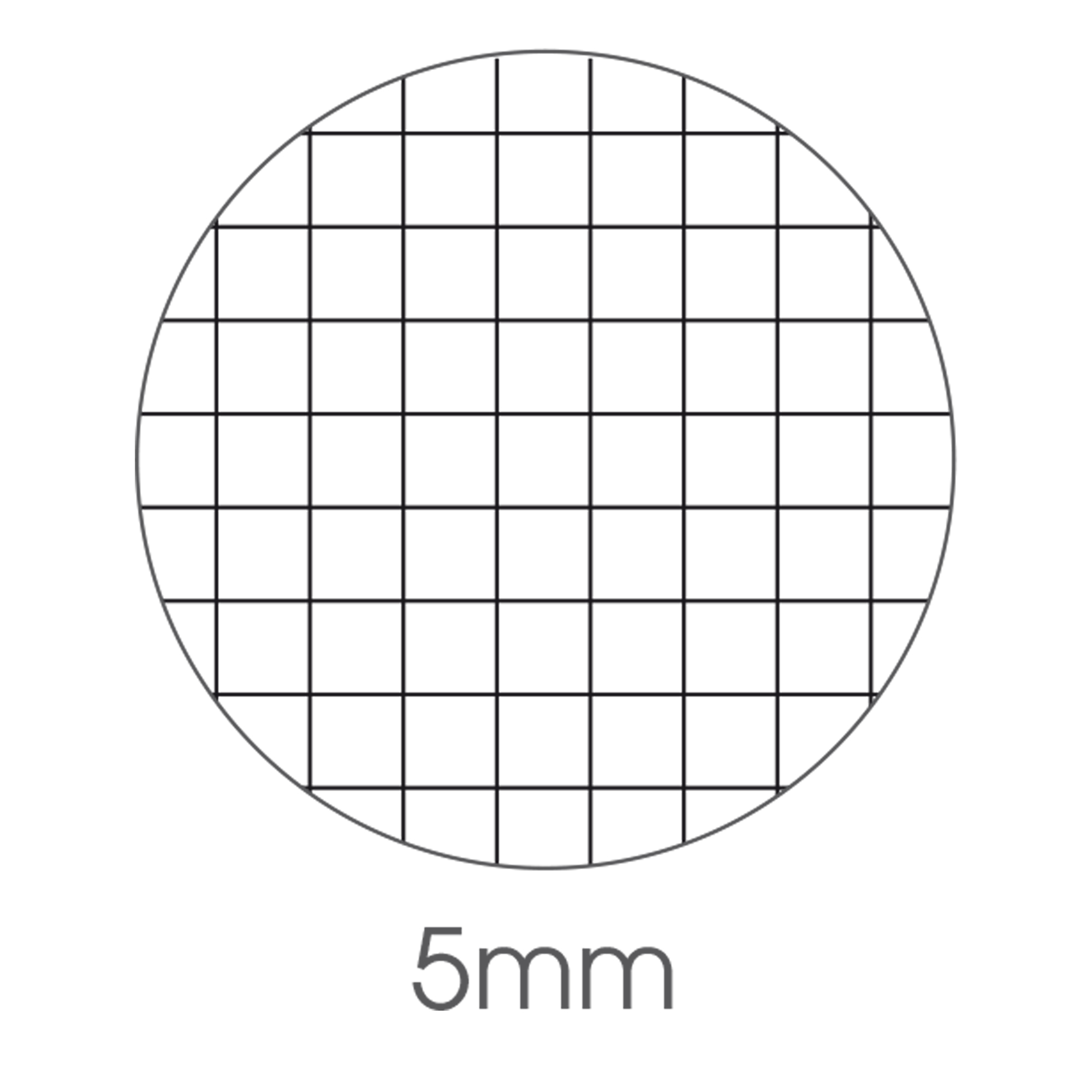 Maxiquaderno Be More Urban 2024 - A4 - 5 mm - 36+2 fogli - 100 gr - BM