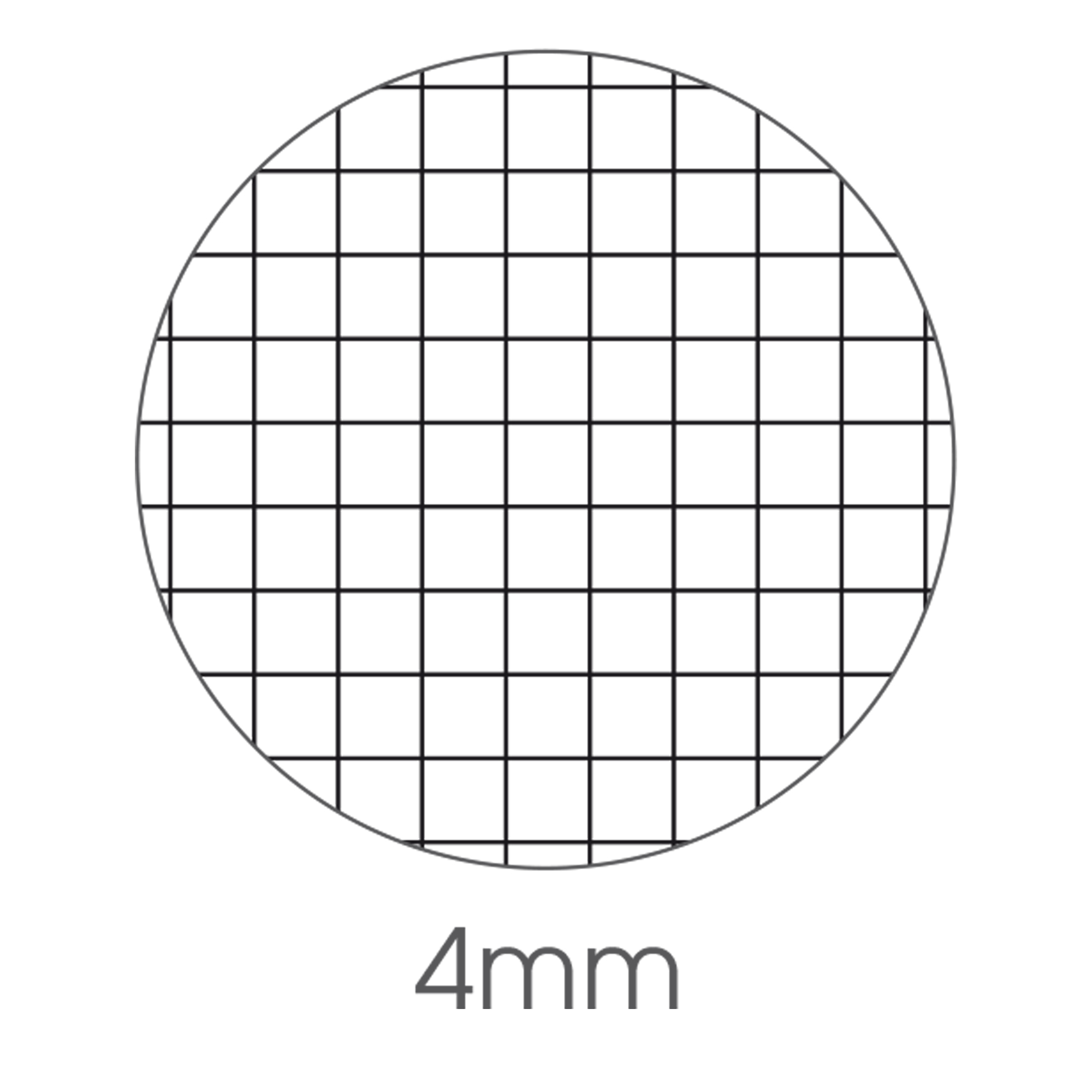 Maxiquaderno Be More Urban 2024 - A4 - 4 mm - 36+2 fogli - 100 gr - BM