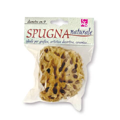 Spugna naturale CWR diametro 9 cm  06029